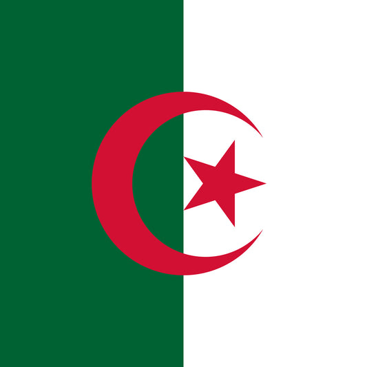 Flag of Algeria Unisex Pocket Tee