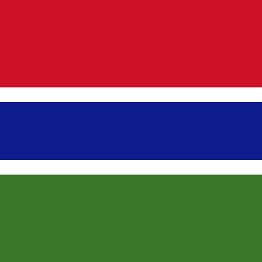 Flag of The Gambia Unisex Pocket Tee