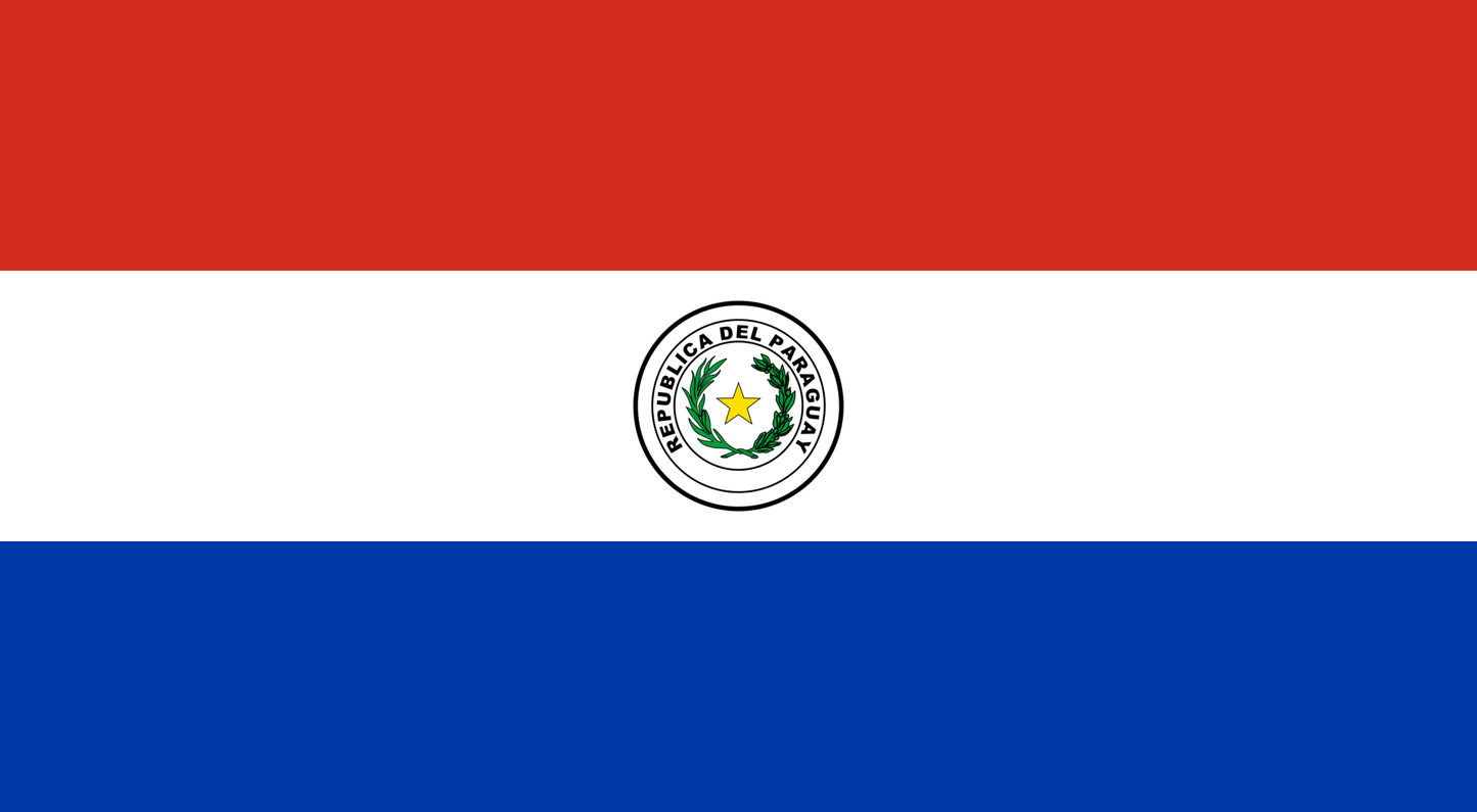 Flag of Paraguay Unisex Pocket Tee