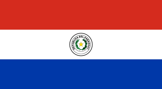 Flag of Paraguay Unisex Pocket Tee