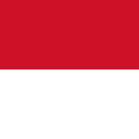 Flag of Indonesia Unisex Pocket Tee