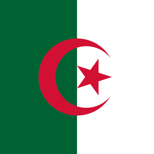 Flag of Algeria Unisex Pocket Tee