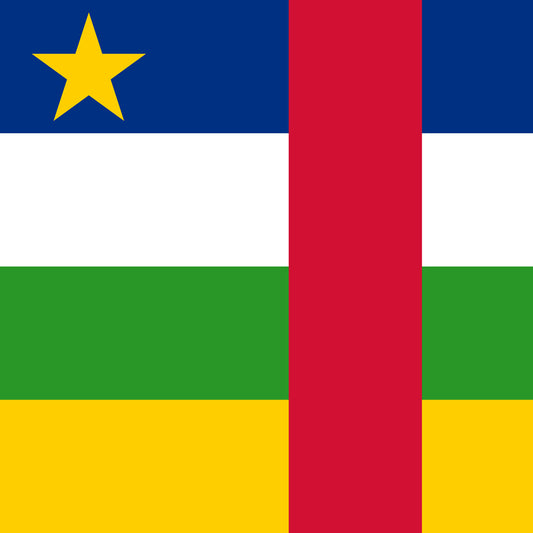 Flag of Central African Republic UnisexPocket Tee