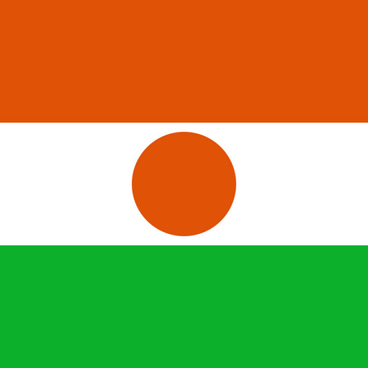 Flag of Niger Unisex Pocket Tee
