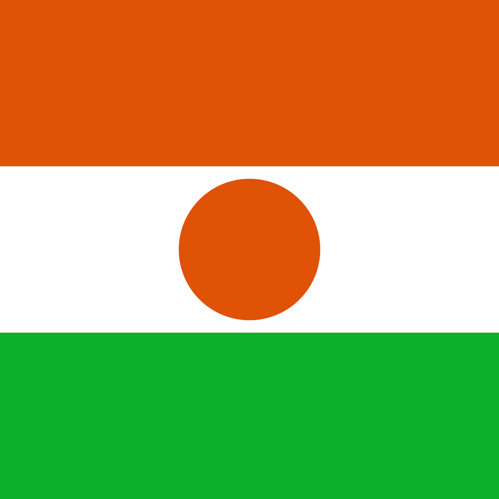 Flag of Niger Unisex Pocket Tee