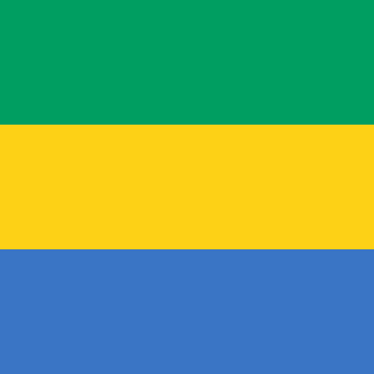 Flag of Gabon Unisex Pocket Tee