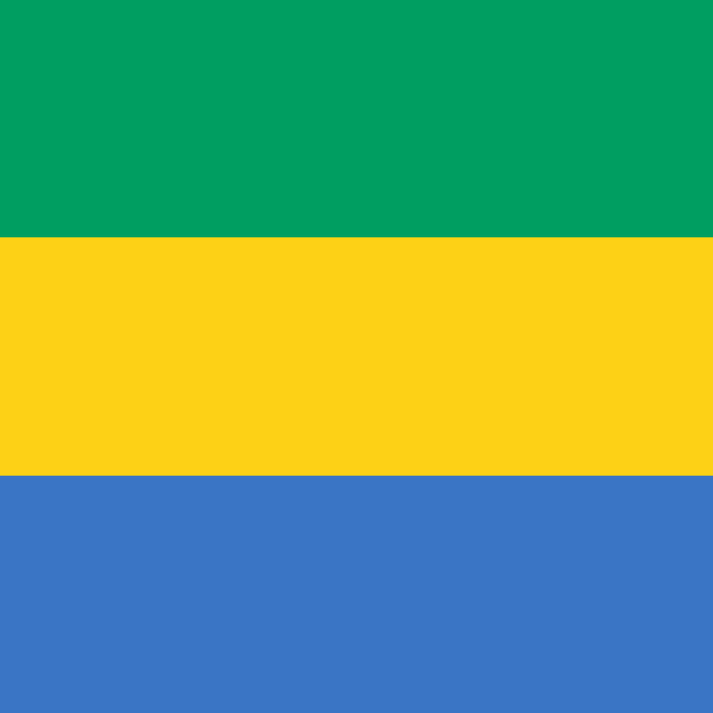 Flag of Gabon Unisex Pocket Tee
