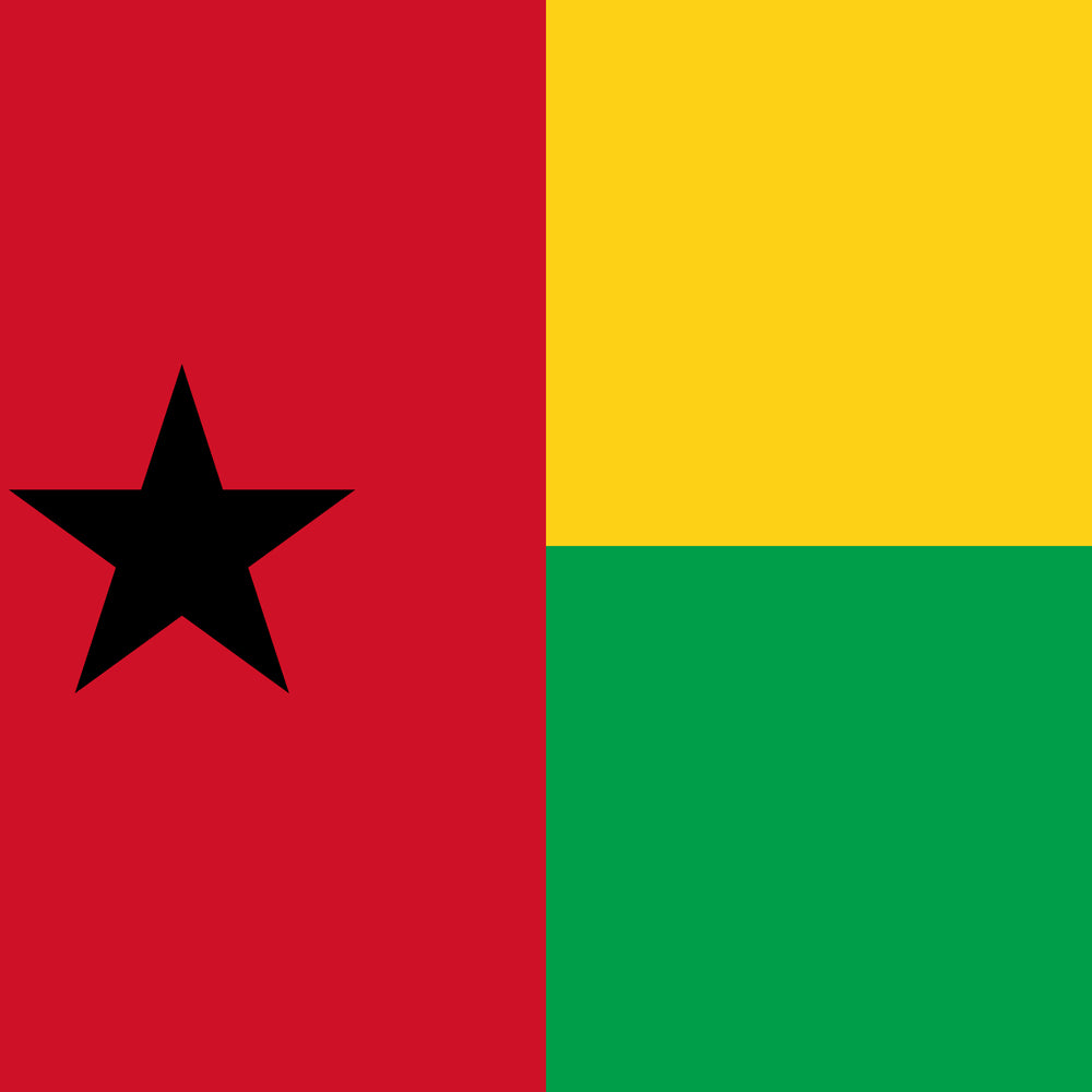 Flag of Guinea-Bissau Unisex Pocket Tee